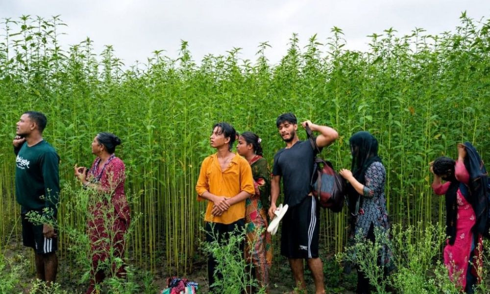 কুষ্টিয়া সীমান্তে ৮ জনকে পুশইনের চেষ্টা, ফেরত পাঠাল বিজিবি