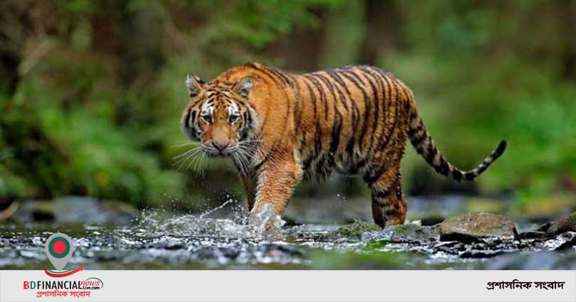 ইসলামী ব্যাংক সিলেট জোনের ব্যবসায় উন্নয়ন সম্মেলন অনুষ্ঠিত