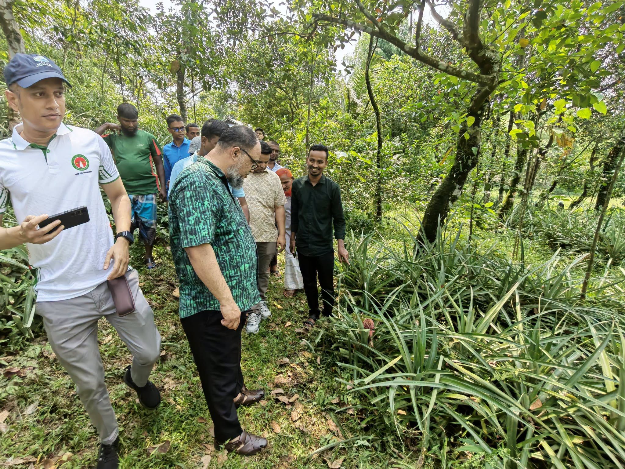 হাসাউড়ার ঐতিহ্যবাহী আনারস বাগান পরিদর্শন সুনামগঞ্জ জেলা জেলা প্রশাসকের