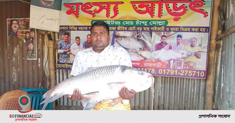 ১৮ কেজির কাতল মাছ বিক্রি হলো ২৫ হাজার টাকায়