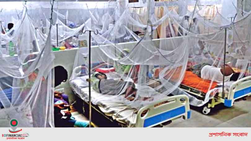 ডেঙ্গু জ্বরে আক্রান্ত হয়ে আরও ২০৩ জন হাসপাতালে ভর্তি