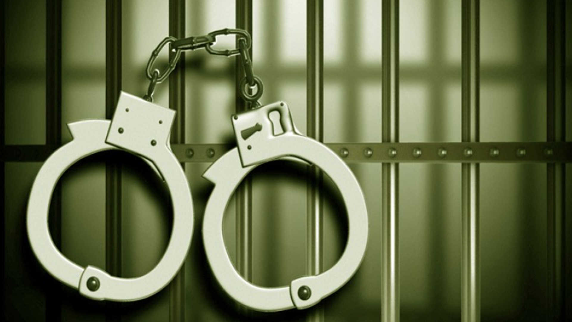 রাজধানীতে গ্রেফতার, অস্ত্র ও গোলাবারুদ জব্দ