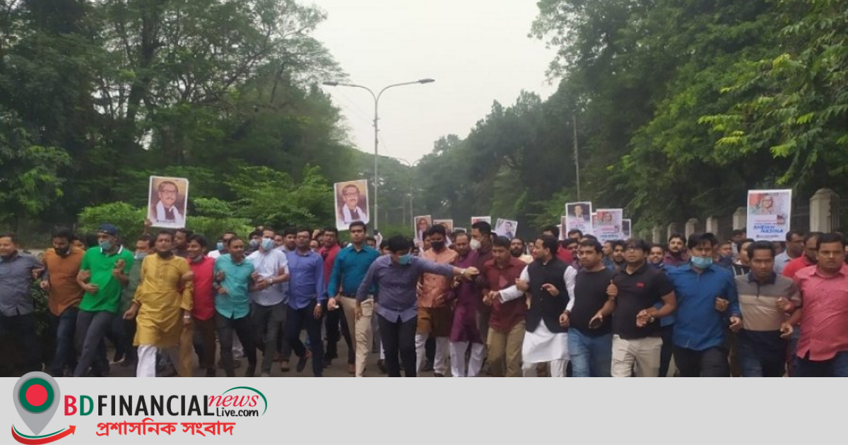 প্রধানমন্ত্রী ও জয় পুরস্কার পাওয়ায় ছাত্রলীগের আনন্দ মিছিল