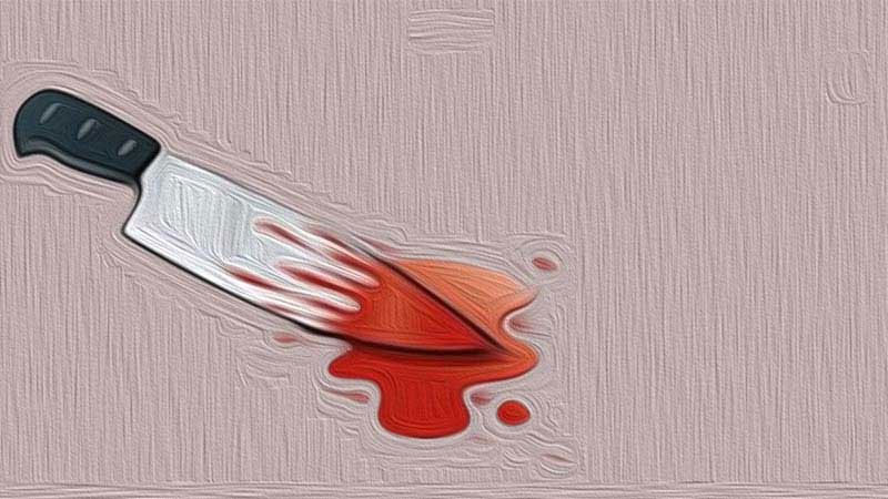 বগুড়ায় আসামি ধরতে গিয়ে দুই পুলিশ সদস্য ছুরিকাহত