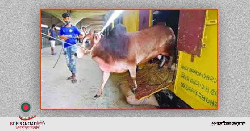 আগামী ১৭ থেকে ১৯ জুলাই পর্যন্ত কোরবানির পশু পরিবহনে বিশেষ ট্রেন