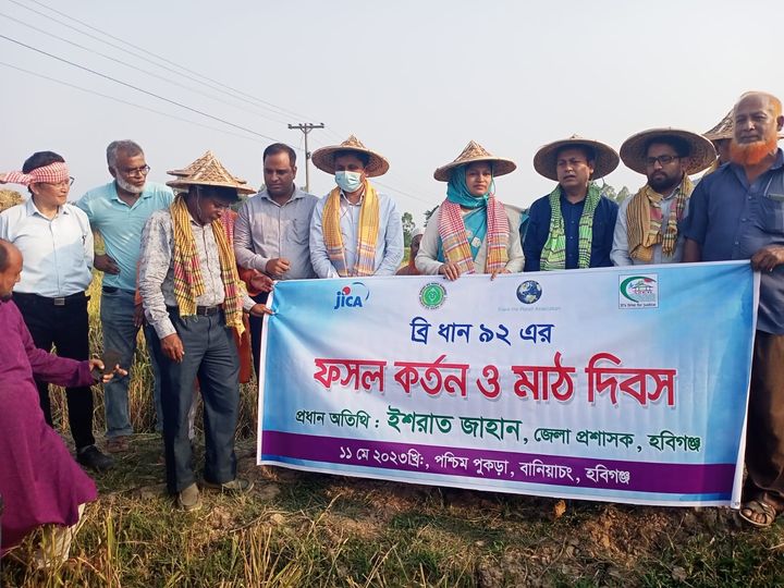 হবিগঞ্জ জেলার বানিয়াচং উপজেলার পশ্চিম পুকড়ায় ব্রি ধান ৯২ কর্তন উৎসব অনুষ্ঠিত