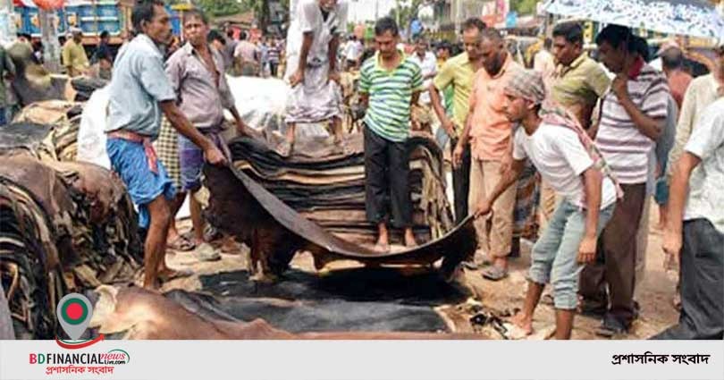 কোরবানির পশুর চামড়ার দাম নির্ধারণ : নির্ধারিত দর গত বছরের চেয়ে বেশি