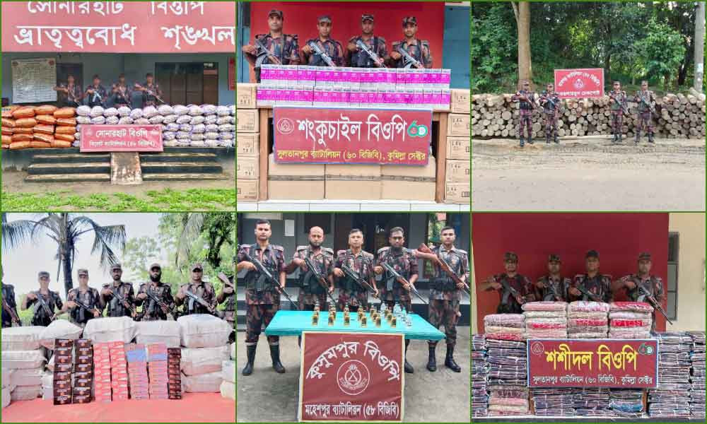 আগস্টে ৩৪৭ কোটি টাকার চোরাচালান পণ্য ও মাদক জব্দ করেছে বিজিবি