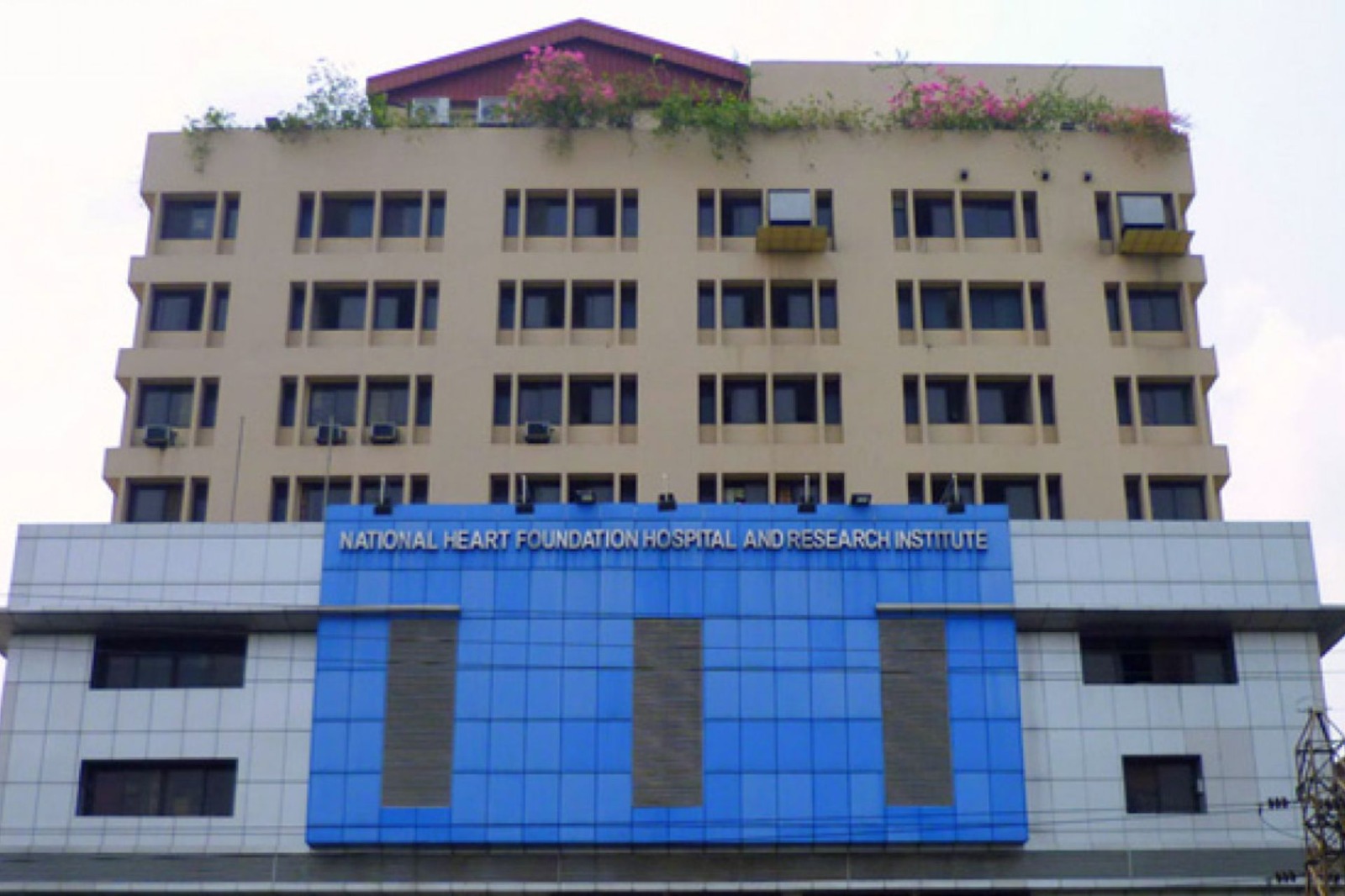 ভোক্তা অধিদপ্তরের সব অফিস তামাকমুক্ত