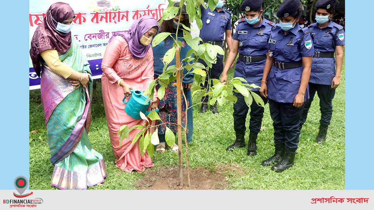 ঝিনাইদহে জেলা পুলিশ ও পুনাকের সামাজিক বনায়ন কর্মসূচি পালিত