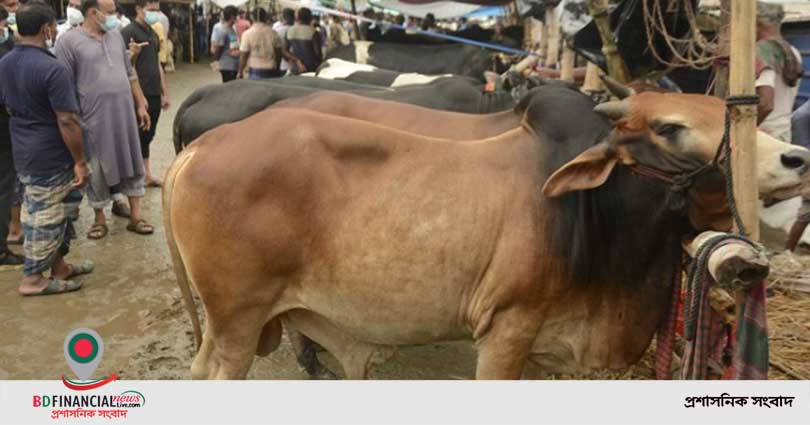 কোরবানি করার নিয়ম