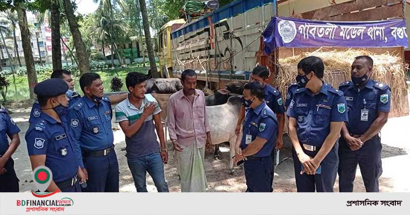 ৯৯৯ এ ফোন কলে গাইবান্ধা থেকে ছিনতাইকৃত গরুবাহী ট্রাক বগুড়া থেকে উদ্ধার