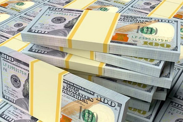 ২৭ দিনে প্রবাসী আয় এলো ২৩৪ কোটি ২০ লাখ ডলার