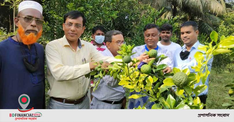পিরোজপুরে লকডাউন বাস্তবায়নে  পুলিশের সিসি ক্যামেরা সাফল্য