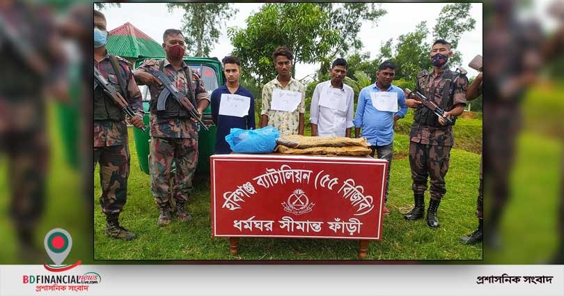 মাধবপুর ভারতীয় গাঁজাসহ বিজিবির হাতে ৪ চোরাকারবারি আটক