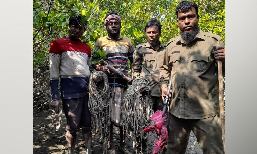 সুন্দরবন থেকে হরিণ শিকারের ২৪৬টি ফাঁদ উদ্ধার