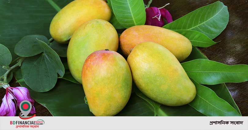 পাকিস্তান সরকারের পক্ষ থেকে রাষ্ট্রপতি-প্রধানমন্ত্রীকে আম উপহার
