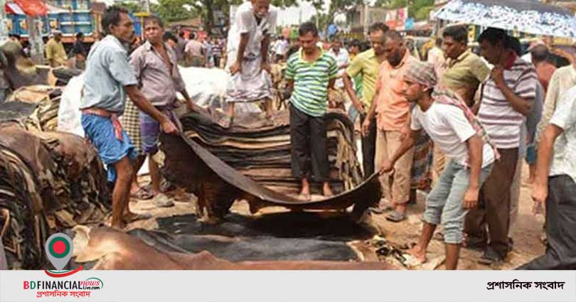 এবার রাজধানীতে চামড়ার দাম কিছুটা বেড়েছে