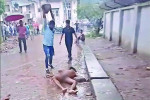 মিটফোর্ডে ব্যবসায়ীকে নৃশংস হত্যা, নিথর দেহ টেনেহিঁচড়ে চলে উন্মত্ততা