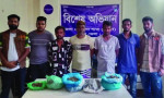 ডিবি পুলিশের অভিযান, গাঁজাসহ ৫ মাদক কারবারি গ্রেপ্তার