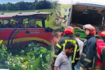 বগুড়া ও সিলেটে সড়কে ঝরল ১৫ প্রাণ