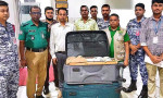 শাহজালাল বিমানবন্দরে ১১৬৩ কচ্ছপ পাচারকালে যাত্রী গ্রেপ্তার