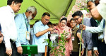 অর্জুন ও নিম গাছের চারা রোপণ করে ড্যাবের প্রতিষ্ঠাবার্ষিকী উদ্বোধন প্রধানমন্ত্রীর