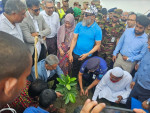 রেলওয়ের বৃক্ষরোপণ কর্মসূচী উদ্বোধন করলেন রেলমন্ত্রী
