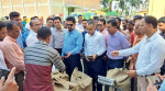 হবিগঞ্জে ৩২ হাজার টন বোরো ধান ও চাল কিনবে সরকার